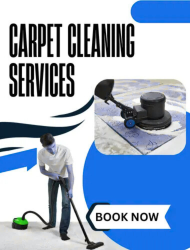 Best Couch Cleaning Company